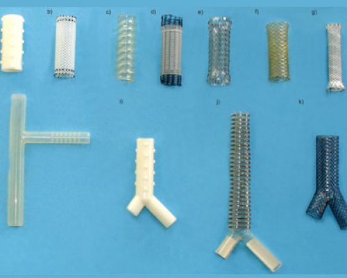 tracheobronchial-stents tracheobronchial-stents